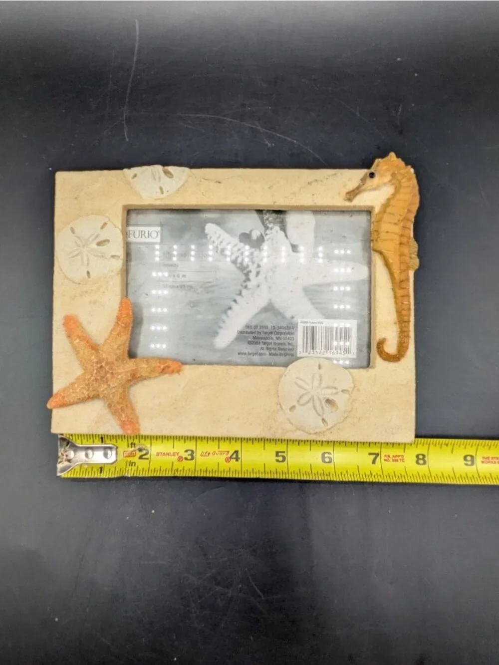 Sea Horse and Sand Dollar Sea Life Picture Frame Holds 4x6 Photo Beach Sand